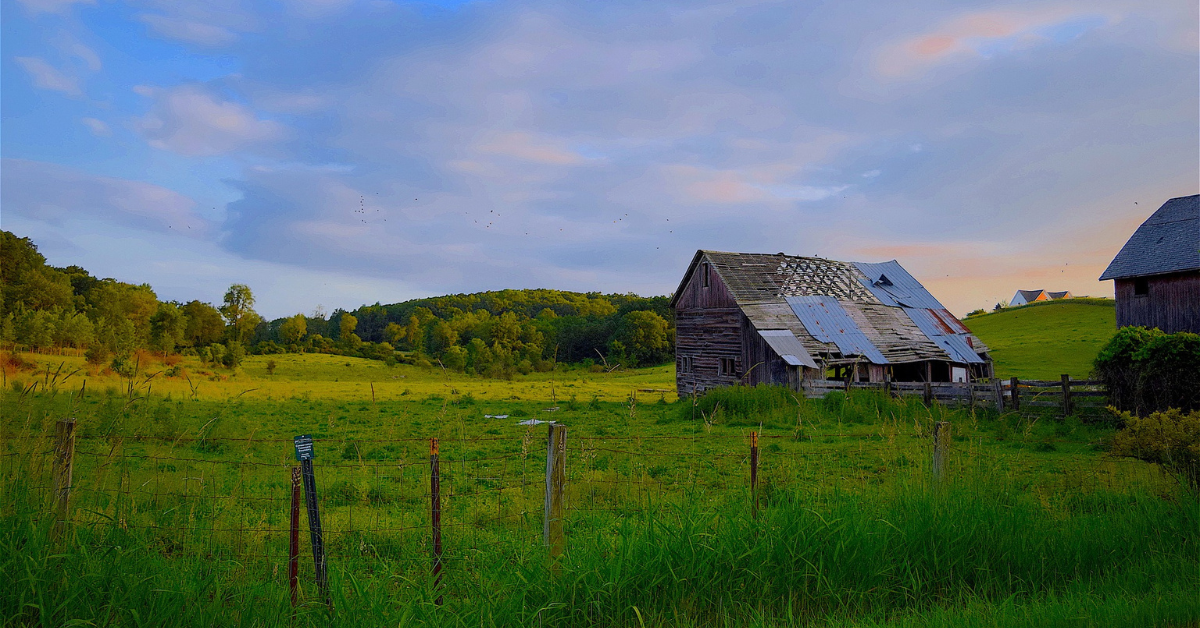 Featured Image for Questions to Ask When Buying Deer Hunting Property